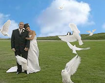 Southern California Wedding Locations, Southern California Wedding Location.