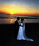 outdoor beach wedding california.