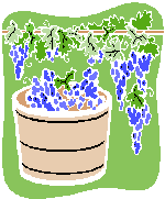 napa limousine tour.