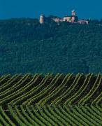 napa valley limousine service.