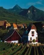 winery wedding napa.