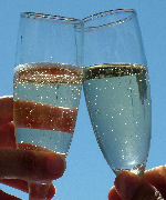 orange county wedding planner.