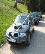 san francisco limousine rental.