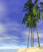 beach weddings in santa barbara.